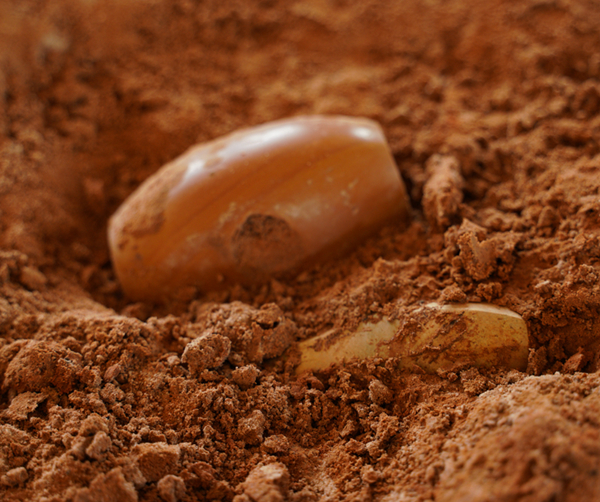 lorem ipsum dolor sit