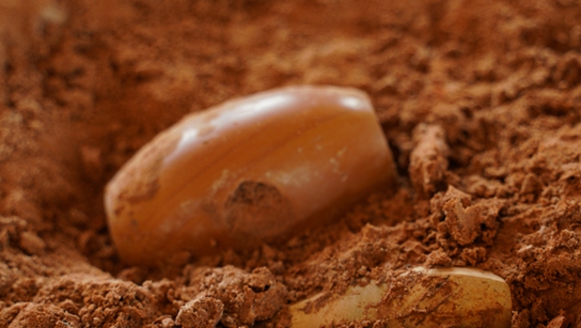 lorem ipsum dolor sit